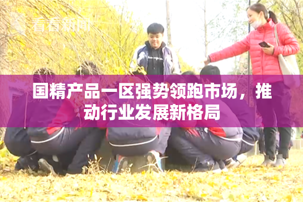 国精产品一区强势领跑市场，推动行业发展新格局