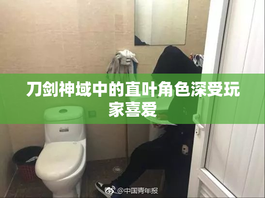 刀剑神域中的直叶角色深受玩家喜爱