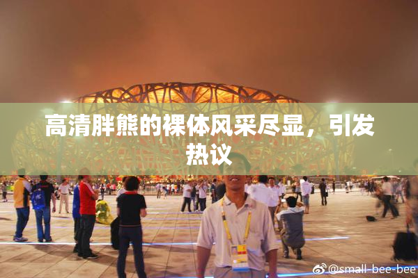 高清胖熊的裸体风采尽显，引发热议