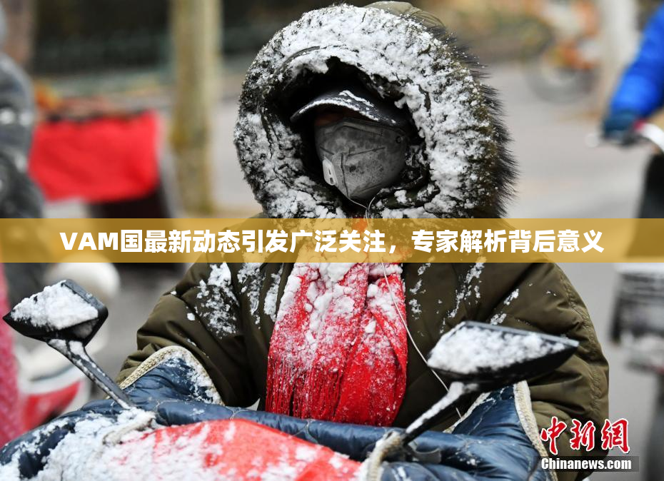 VAM国最新动态引发广泛关注，专家解析背后意义