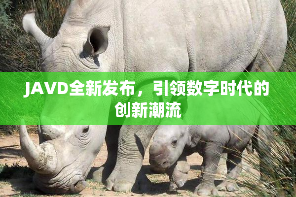 JAVD全新发布，引领数字时代的创新潮流