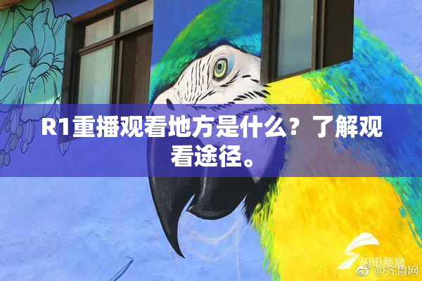 R1重播观看地方是什么？了解观看途径。
