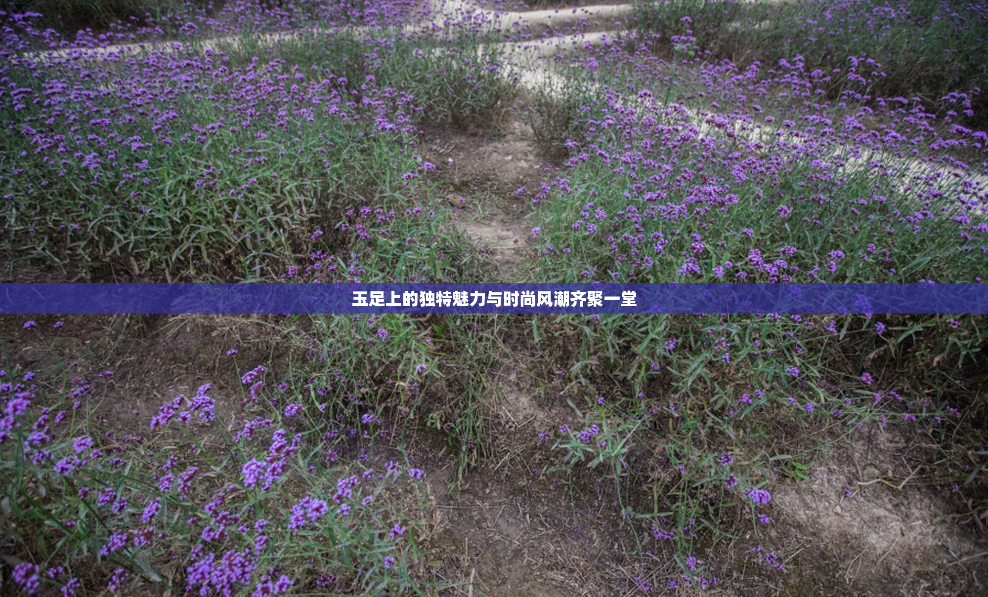 玉足上的独特魅力与时尚风潮齐聚一堂