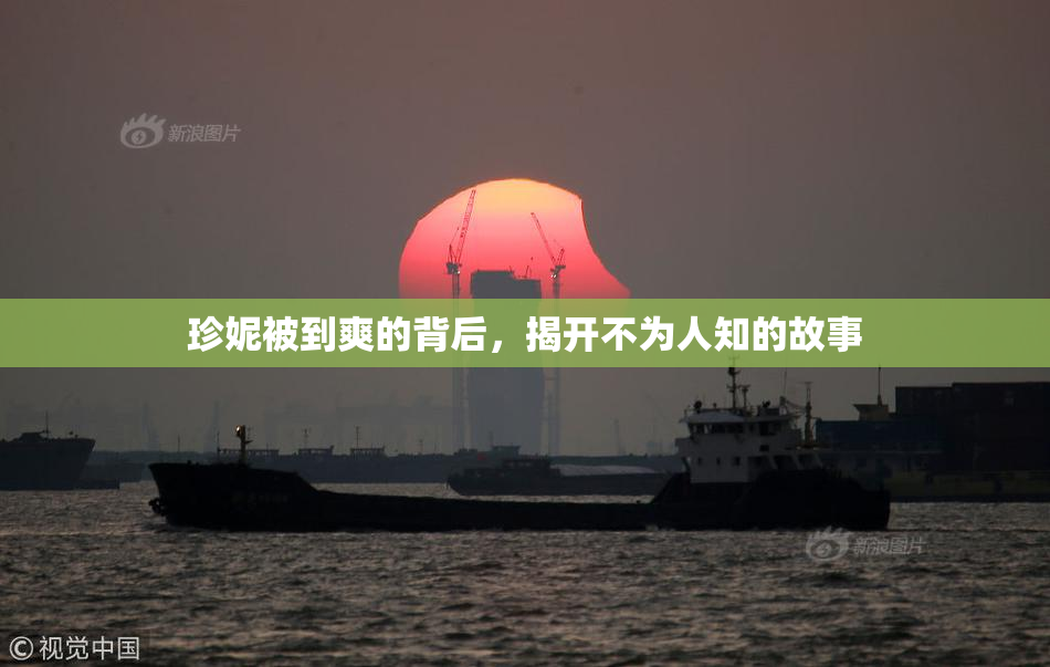 珍妮被到爽的背后，揭开不为人知的故事