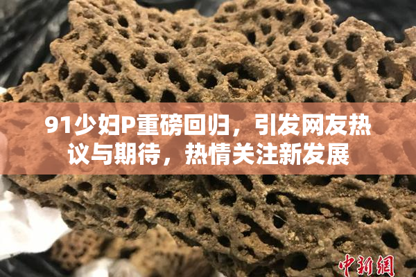 91少妇P重磅回归，引发网友热议与期待，热情关注新发展