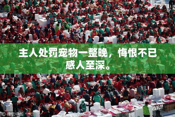 主人处罚宠物一整晚，悔恨不已感人至深。