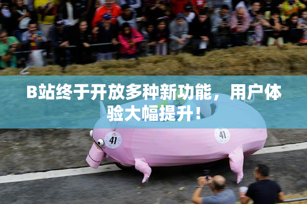 B站终于开放多种新功能，用户体验大幅提升！
