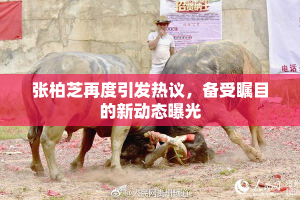 张柏芝再度引发热议，备受瞩目的新动态曝光