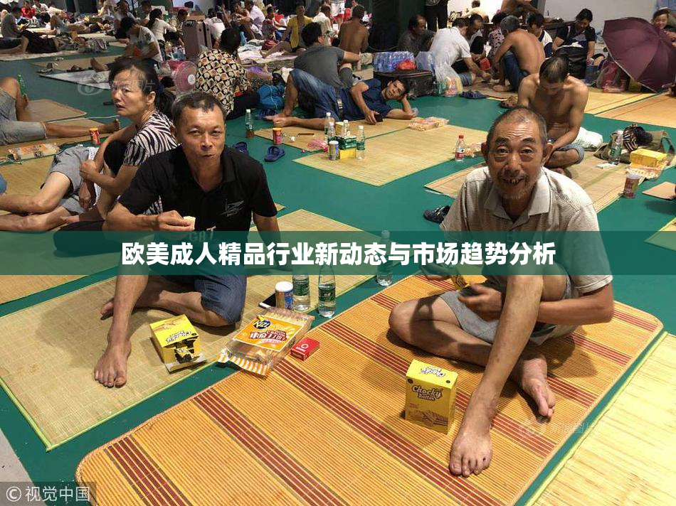 欧美成人精品行业新动态与市场趋势分析