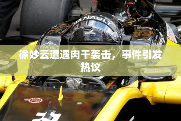 徐妙云遭遇肉干袭击，事件引发热议
