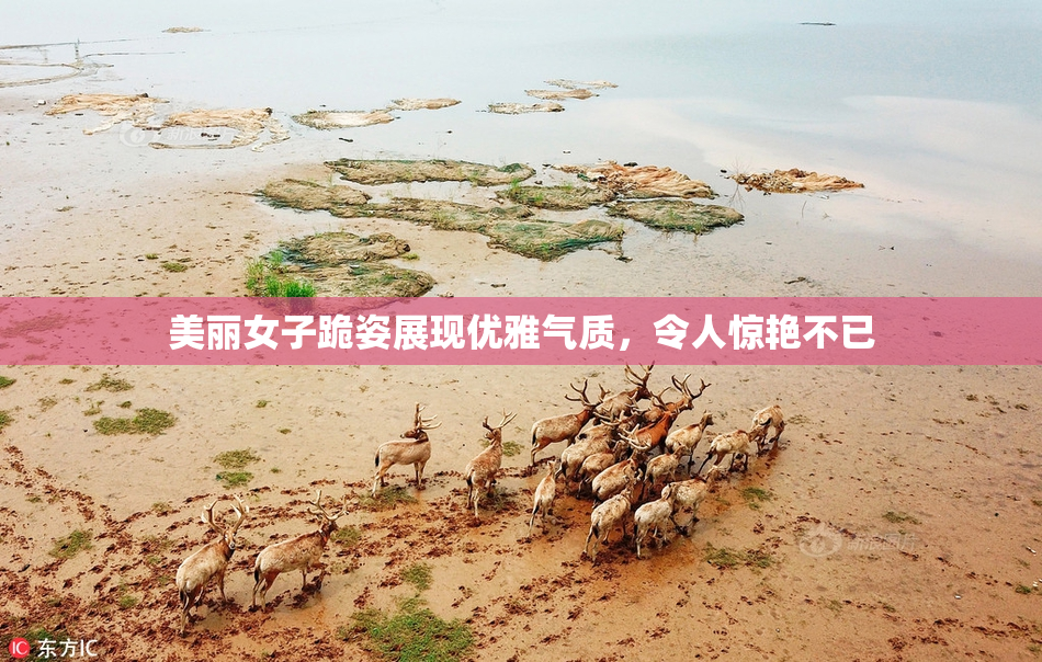 美丽女子跪姿展现优雅气质，令人惊艳不已