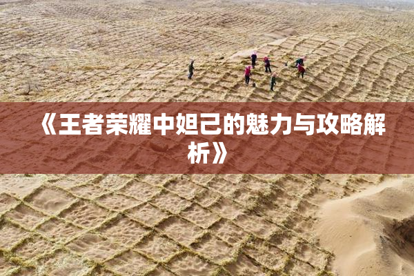 《王者荣耀中妲己的魅力与攻略解析》