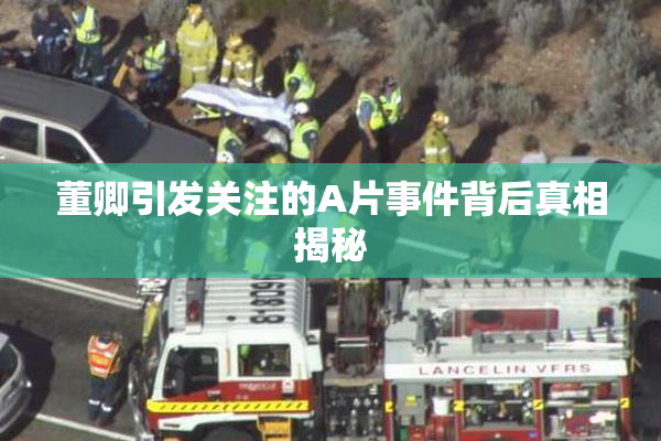 董卿引发关注的A片事件背后真相揭秘