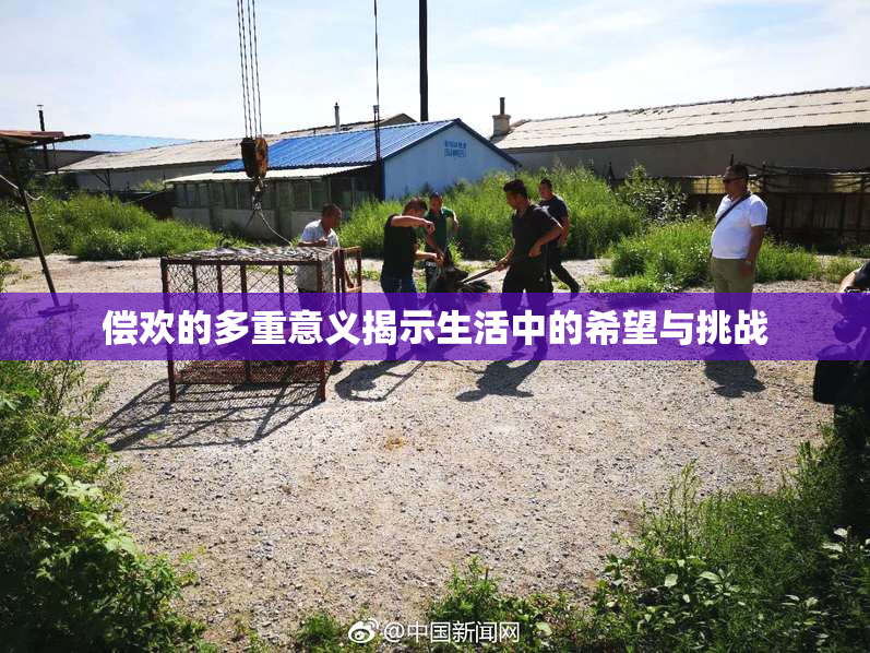 偿欢的多重意义揭示生活中的希望与挑战