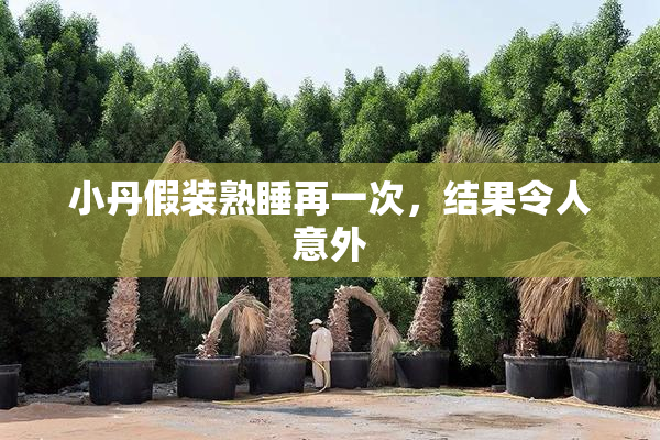 小丹假装熟睡再一次，结果令人意外