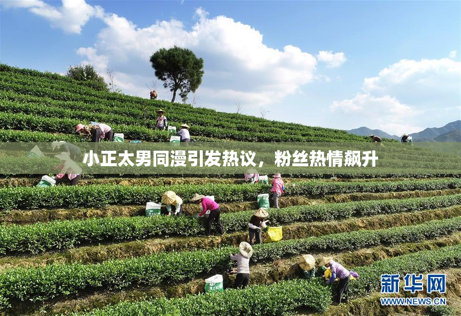 小正太男同漫引发热议，粉丝热情飙升