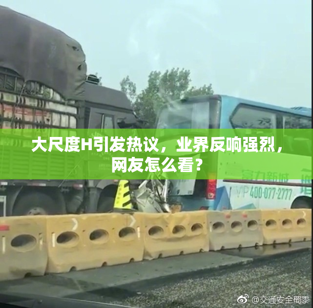 大尺度H引发热议，业界反响强烈，网友怎么看？