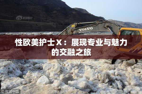性欧美护士Ⅹ：展现专业与魅力的交融之旅