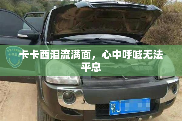 卡卡西泪流满面，心中呼喊无法平息