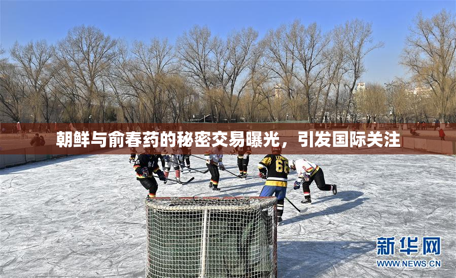 朝鲜与俞春药的秘密交易曝光，引发国际关注