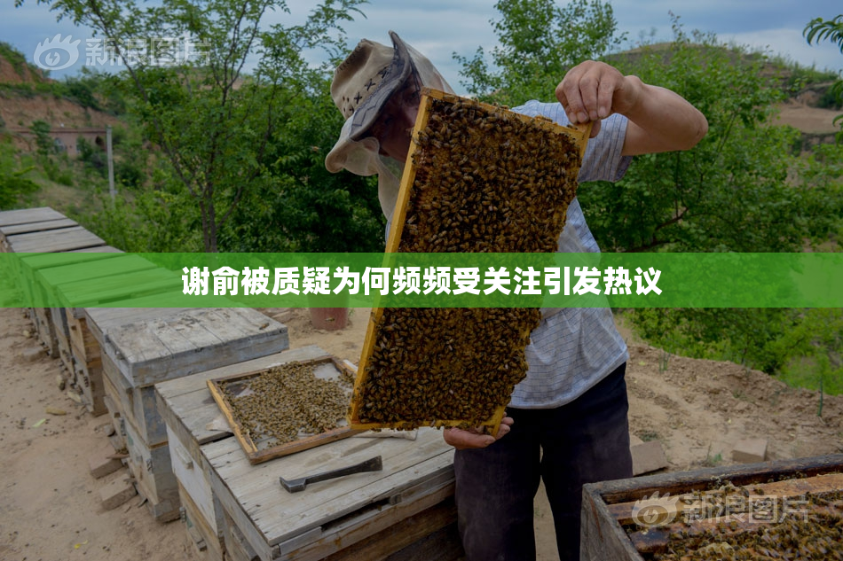 谢俞被质疑为何频频受关注引发热议