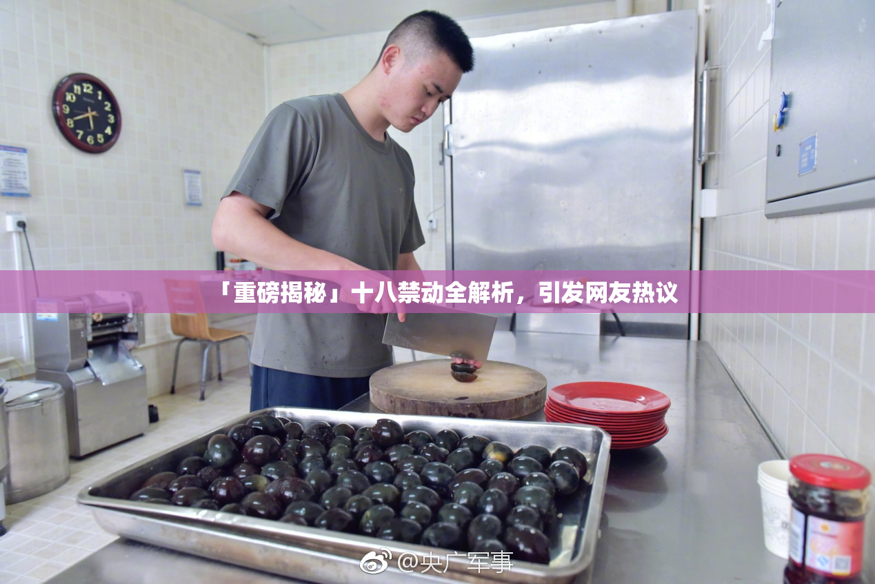 「重磅揭秘」十八禁动全解析，引发网友热议