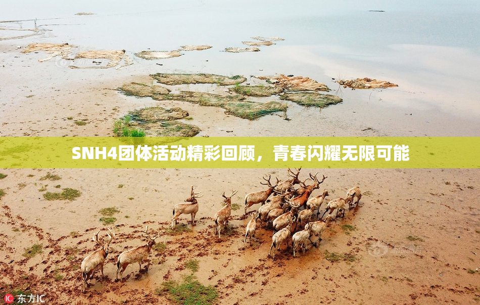 SNH4团体活动精彩回顾，青春闪耀无限可能