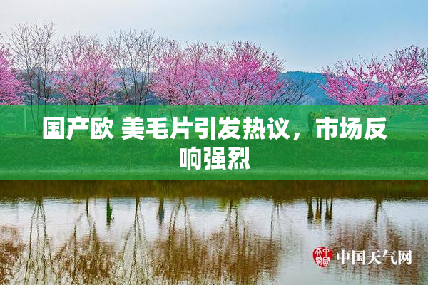 国产欧 美毛片引发热议，市场反响强烈