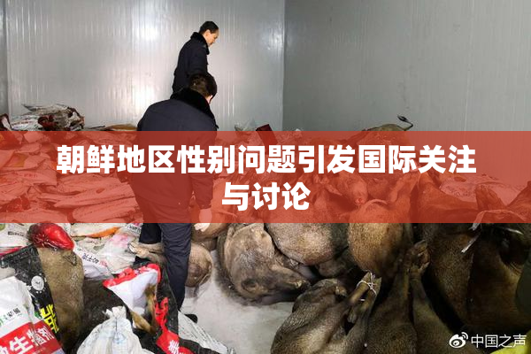朝鲜地区性别问题引发国际关注与讨论