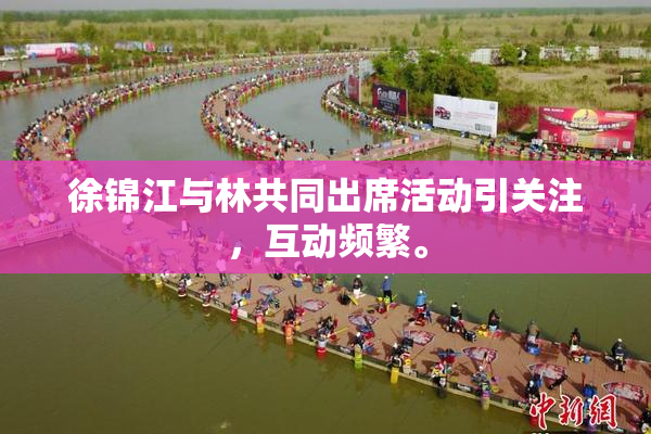 徐锦江与林共同出席活动引关注，互动频繁。