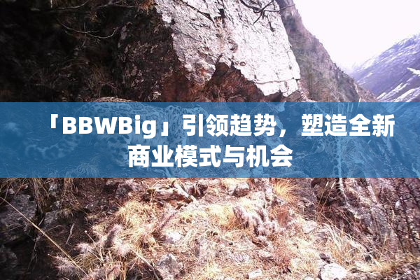 「BBWBig」引领趋势，塑造全新商业模式与机会