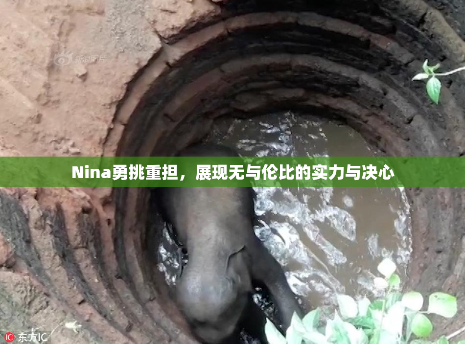 Nina勇挑重担，展现无与伦比的实力与决心