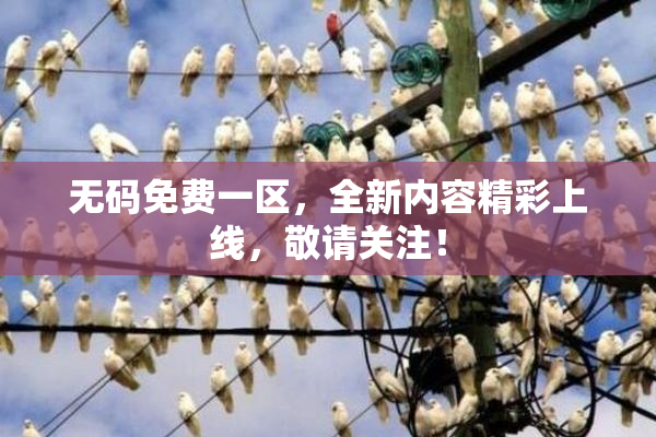无码免费一区，全新内容精彩上线，敬请关注！