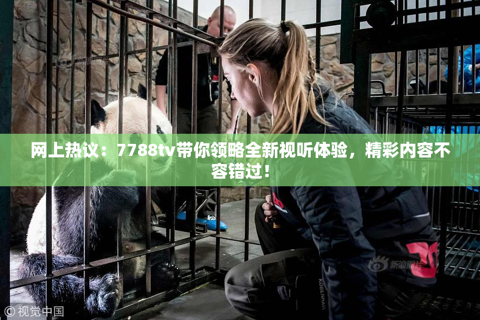网上热议：7788tv带你领略全新视听体验，精彩内容不容错过！