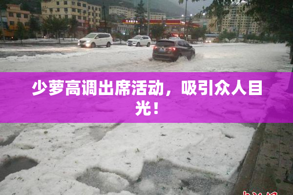 少萝高调出席活动，吸引众人目光！