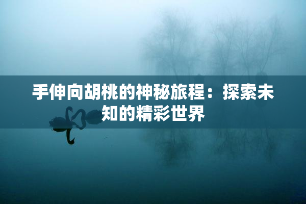 手伸向胡桃的神秘旅程：探索未知的精彩世界