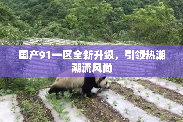 国产91一区全新升级，引领热潮潮流风尚