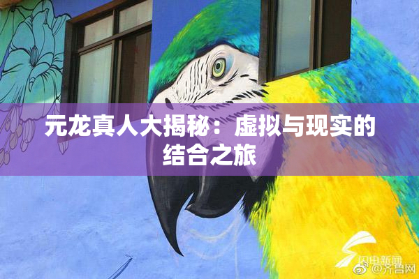 元龙真人大揭秘：虚拟与现实的结合之旅