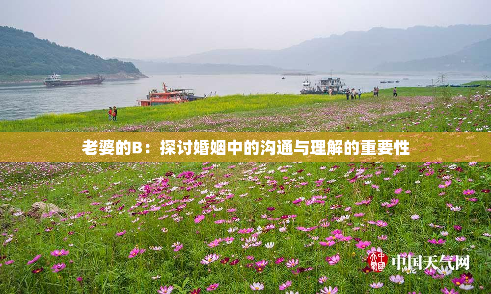 老婆的B：探讨婚姻中的沟通与理解的重要性