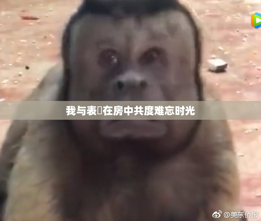 我与表妺在房中共度难忘时光