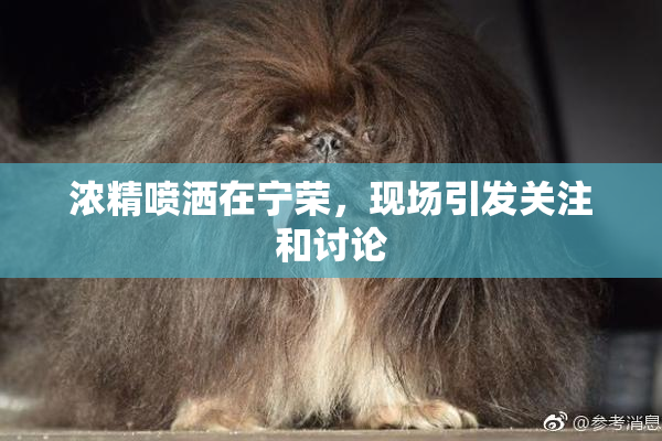 浓精喷洒在宁荣，现场引发关注和讨论