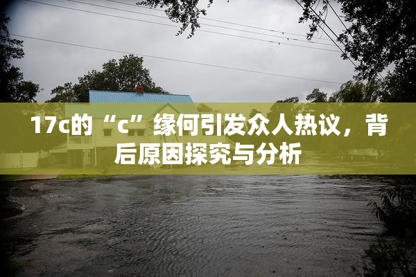 17c的“c”缘何引发众人热议，背后原因探究与分析