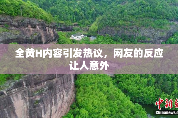 全黄H内容引发热议，网友的反应让人意外