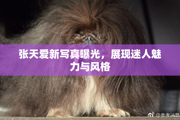 张天爱新写真曝光，展现迷人魅力与风格