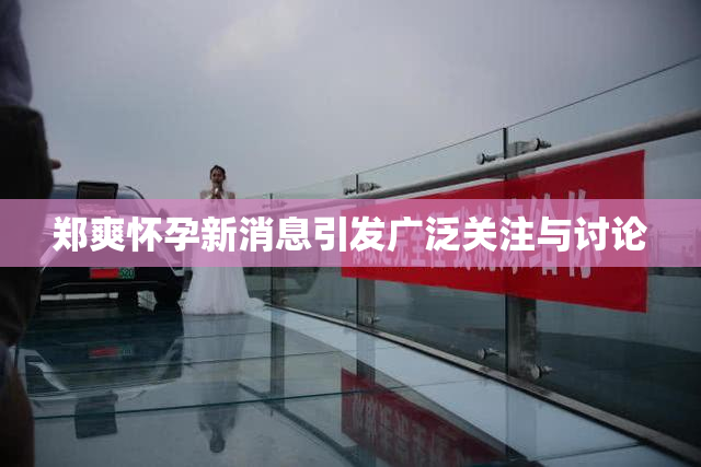 郑爽怀孕新消息引发广泛关注与讨论