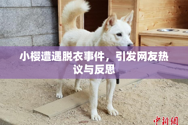 小樱遭遇脱衣事件，引发网友热议与反思