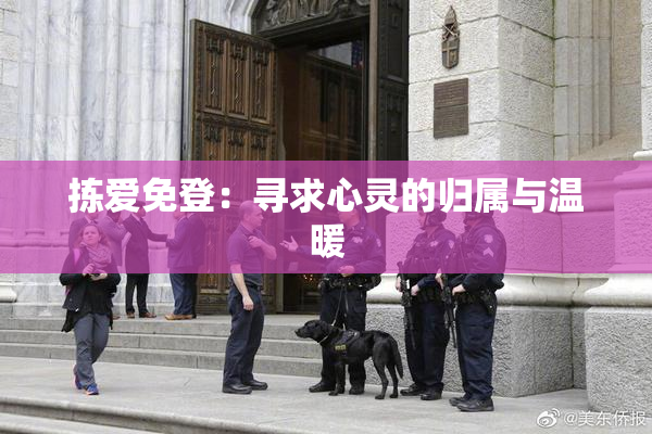 拣爱免登：寻求心灵的归属与温暖