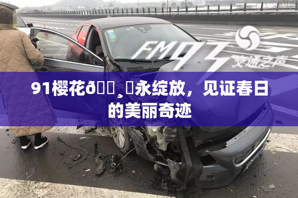 91樱花🌸‌永绽放，见证春日的美丽奇迹