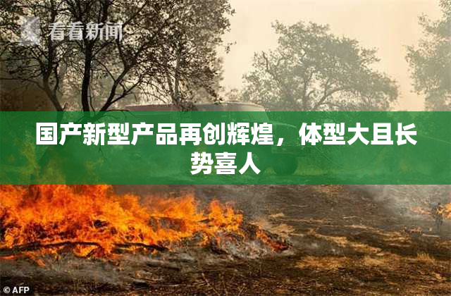 国产新型产品再创辉煌，体型大且长势喜人