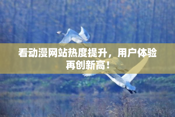看动漫网站热度提升，用户体验再创新高！